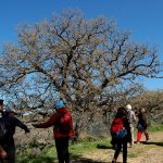 Πεζοπορία Φαράγγι Καμπιών και Αγρελωπό Φίλοι Μονοπατιών Χίου