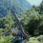 Πεζοπορία Φαράγγι Καμπιών και Αγρελωπό Φίλοι Μονοπατιών Χίου