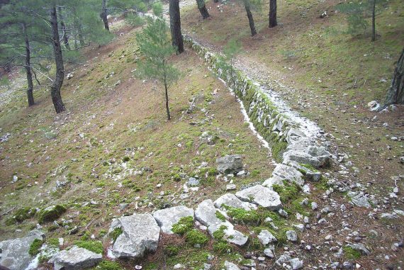 Δεύτερη Πεζοπορία Φροντίδας μονοπατιού