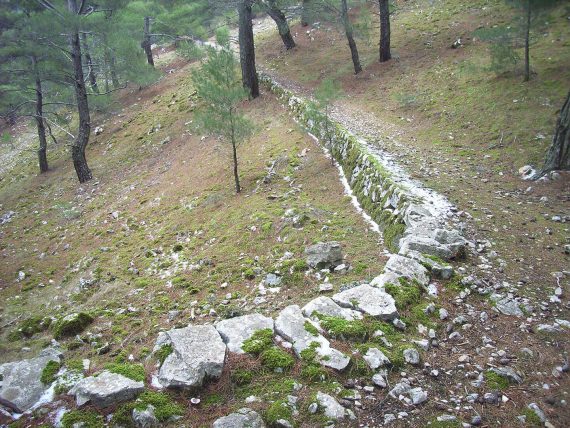 Δεύτερη Πεζοπορία Φροντίδας μονοπατιού