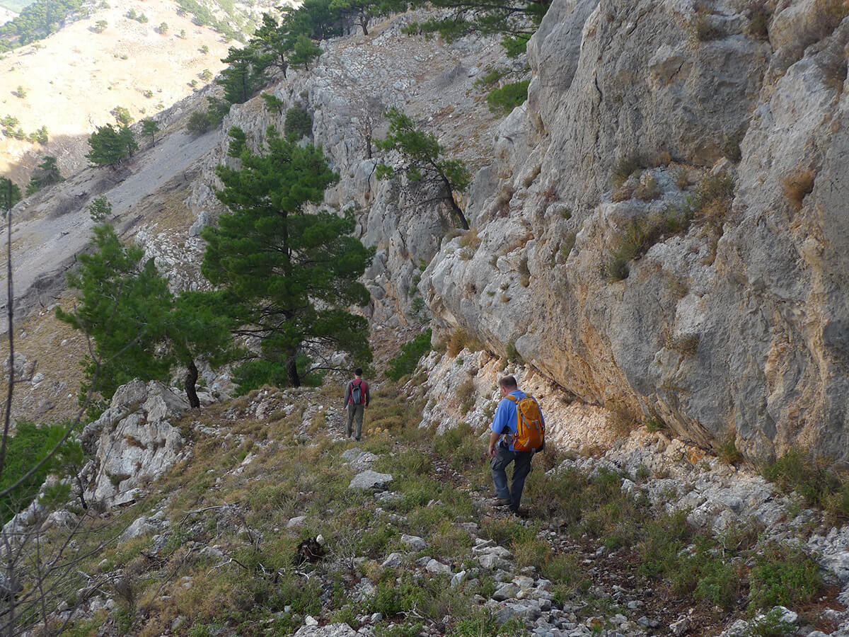 Στο Μονοπάτι της Λυγερής