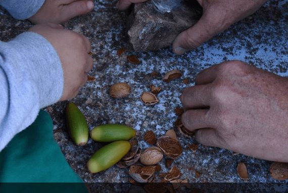 Φθινόπωρο στην κοιλάδα Αγιασμάτων 2-11-25