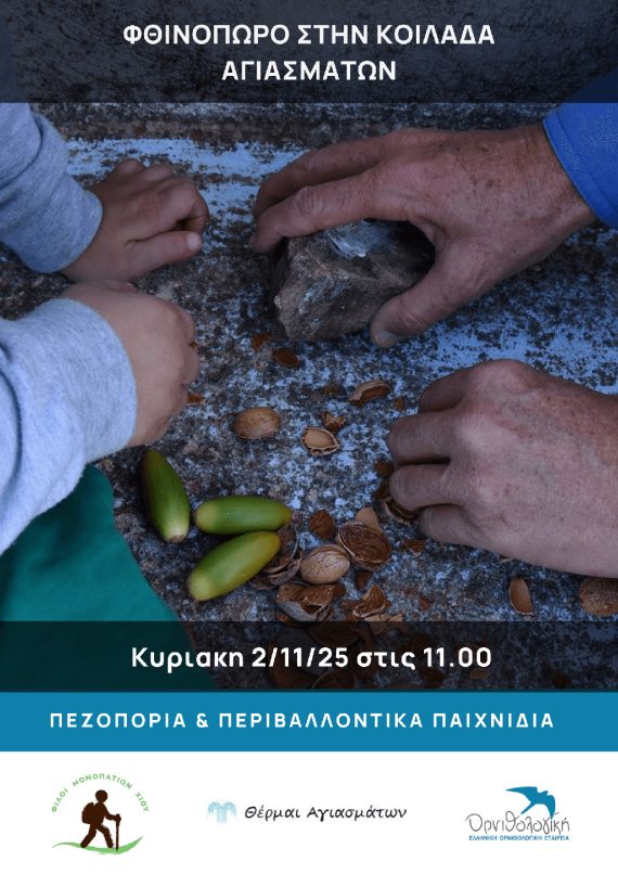 Φθινόπωρο στην κοιλάδα Αγιασμάτων 2-11-25