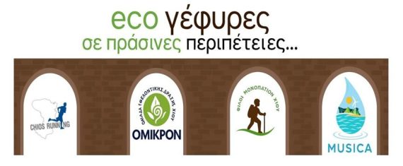 eco γέφυρες σε πράσινες περιπέτειες