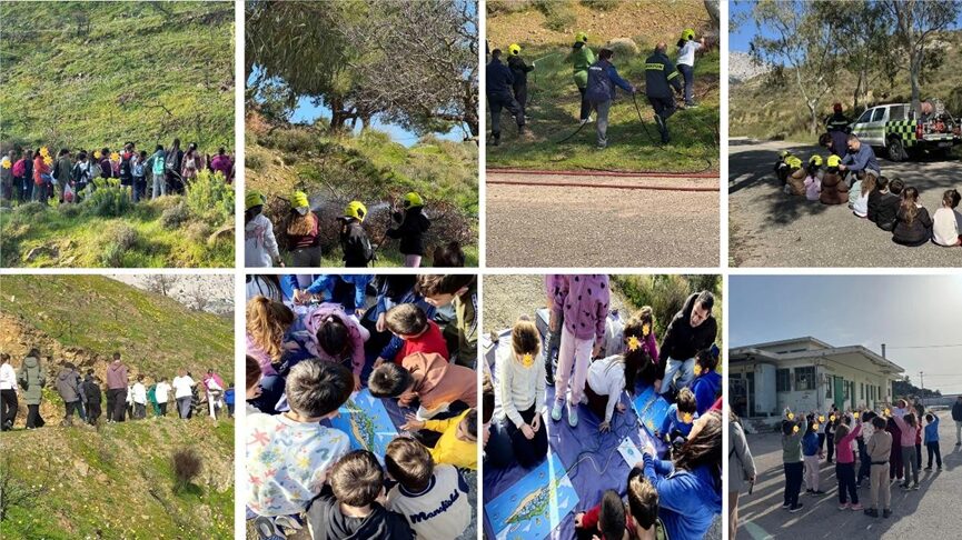 eco γέφυρες σε πράσινες περιπέτειες