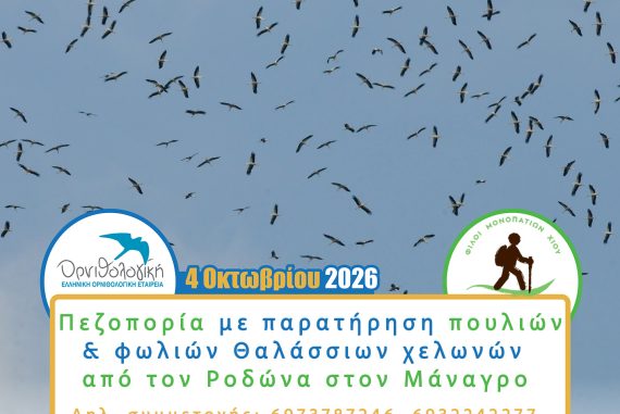 Ευρωπαϊκή Γιορτή Πουλιών - Εξερεύνηση φωλιών θαλάσσιων χελωνών